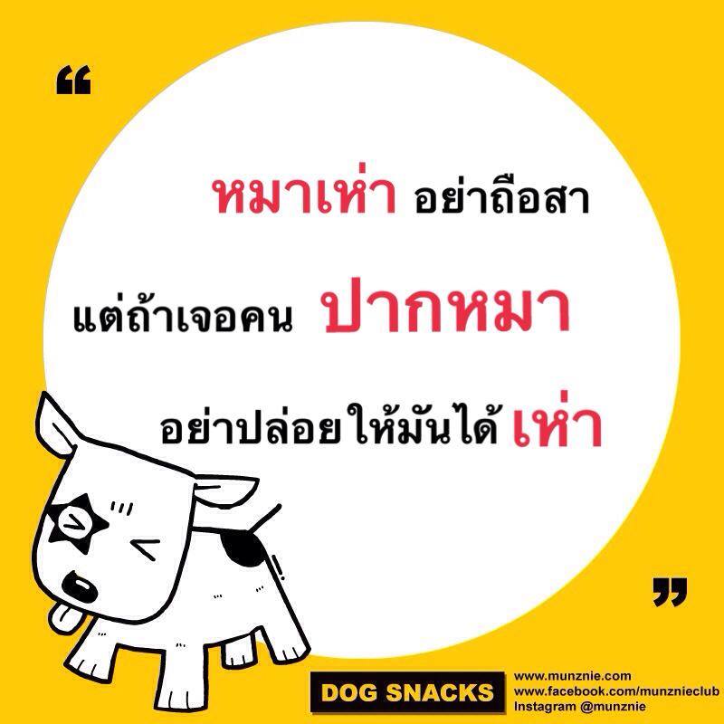 My Image 37